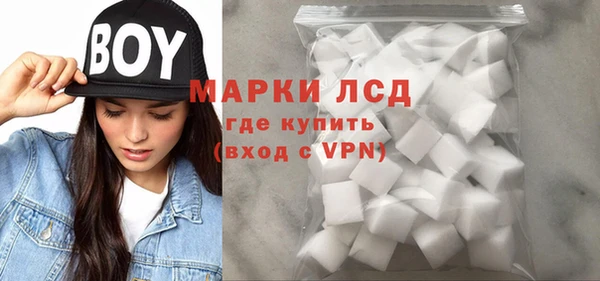 ПСИЛОЦИБИНОВЫЕ ГРИБЫ Абаза