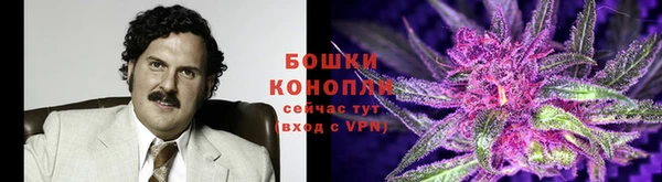 бошки Алексин