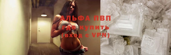 стаф Абинск