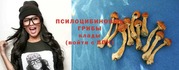 бошки Алексин