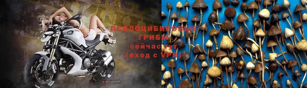 jwh Алзамай
