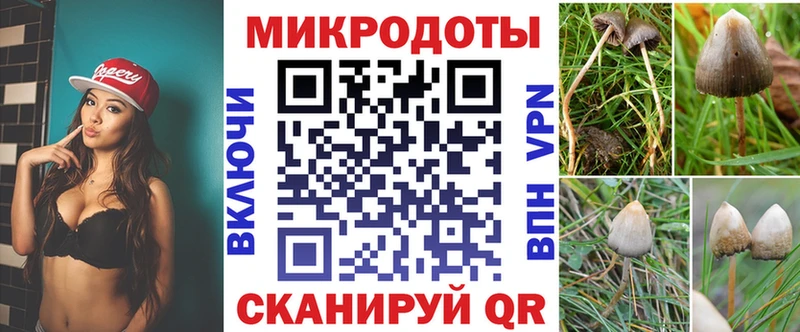 hydra как зайти  Сыктывкар  Псилоцибиновые грибы Psilocybine cubensis 